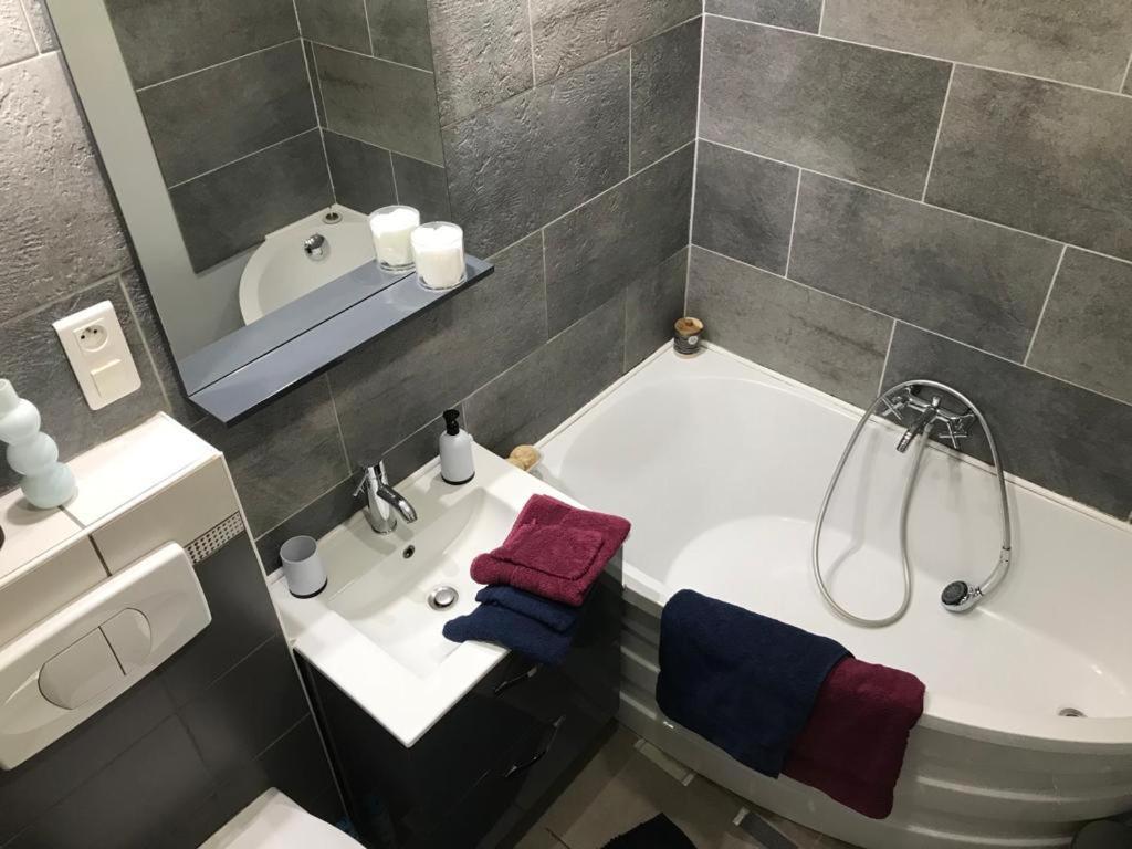 Bel Appartement Lumineux Avec Exterieur Rosieres-aux-Salines Eksteriør billede