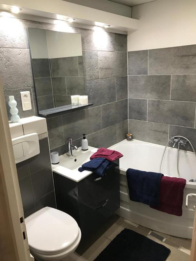 Bel Appartement Lumineux Avec Exterieur Rosieres-aux-Salines Eksteriør billede